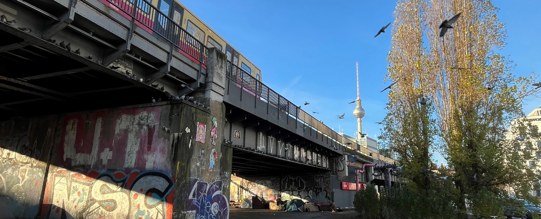 Psychotherapeutische Versorgung: Schwerpunkt Wohnungslosigkeit Psychotherapeutische Versorgung: Schwerpunkt Wohnungslosigkeit
